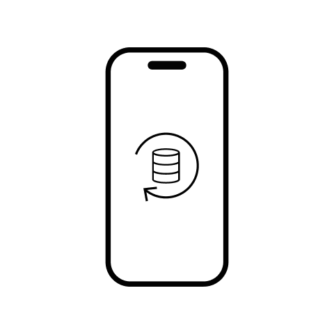 Data Recovery